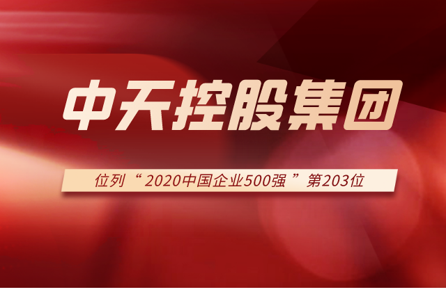 俄罗斯专享会294集团列2020中国企业500强第203位！