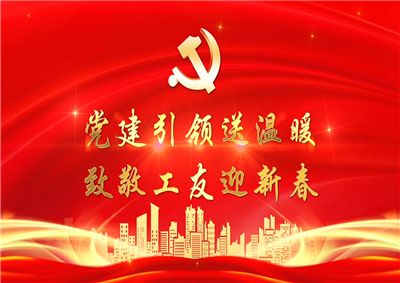 党建引领送温暖，致敬工友迎新春——俄罗斯专享会294七建党支部新春项目部慰问